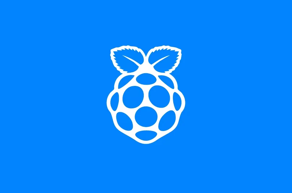 raspberry